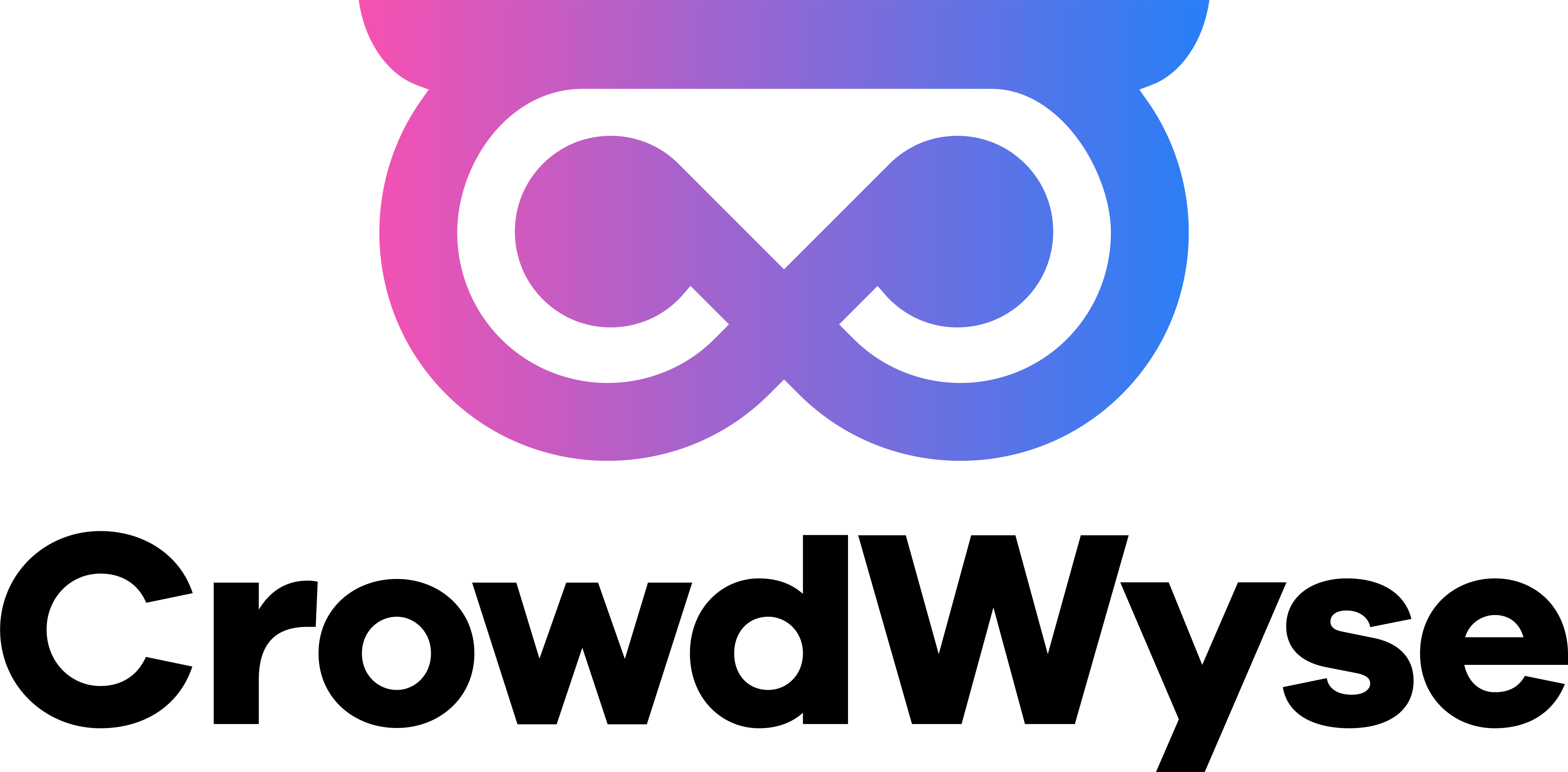 crowdwyse logo